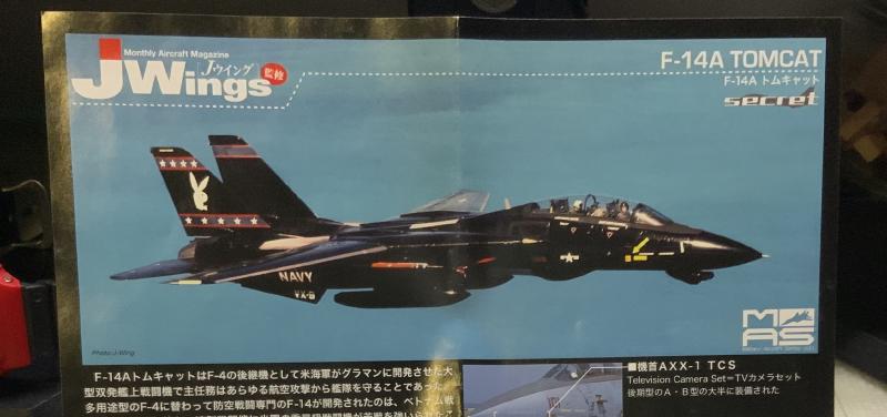 Featured image of post [Kit Review] JWings U.S. Navy Grumman F-14A Tomcat 'Black Bunny